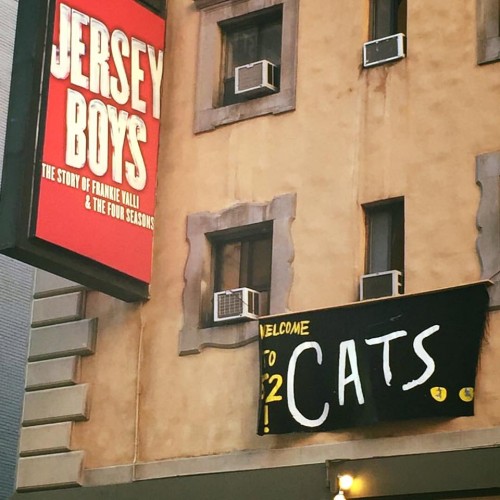 A Jersey-Style welcome to CATS!