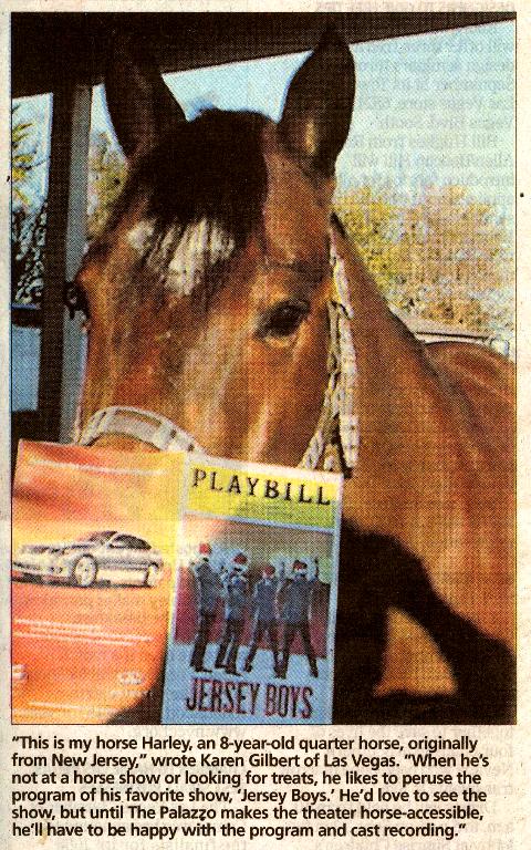 Vegas Horse Loves Jersey Boys!